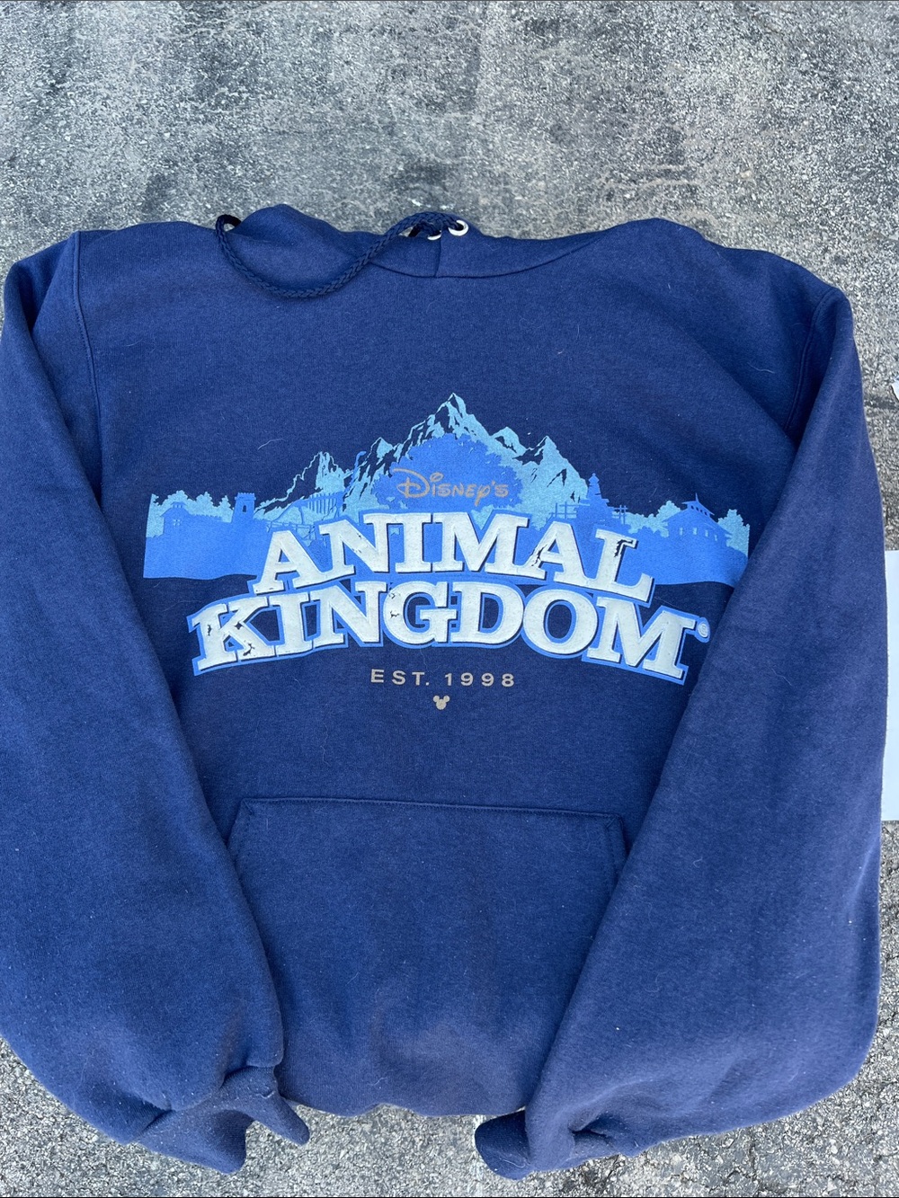 Disney Navy and Light Blue Animal Kingdom Pullover Hoodie